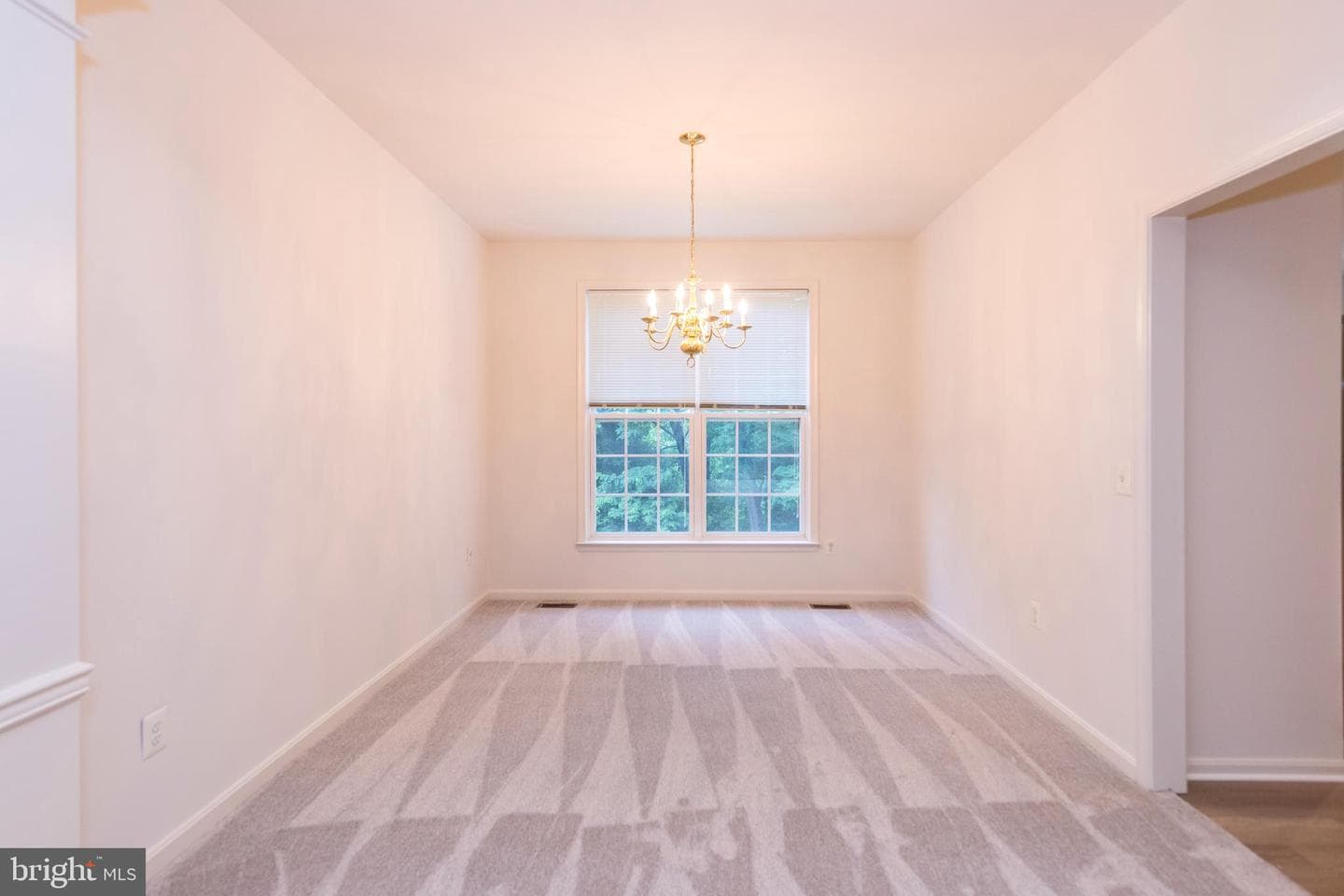 10504 Willow Vista Way photo 16
