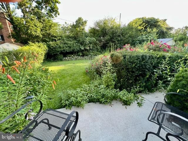 803 Joppa Road W photo 29