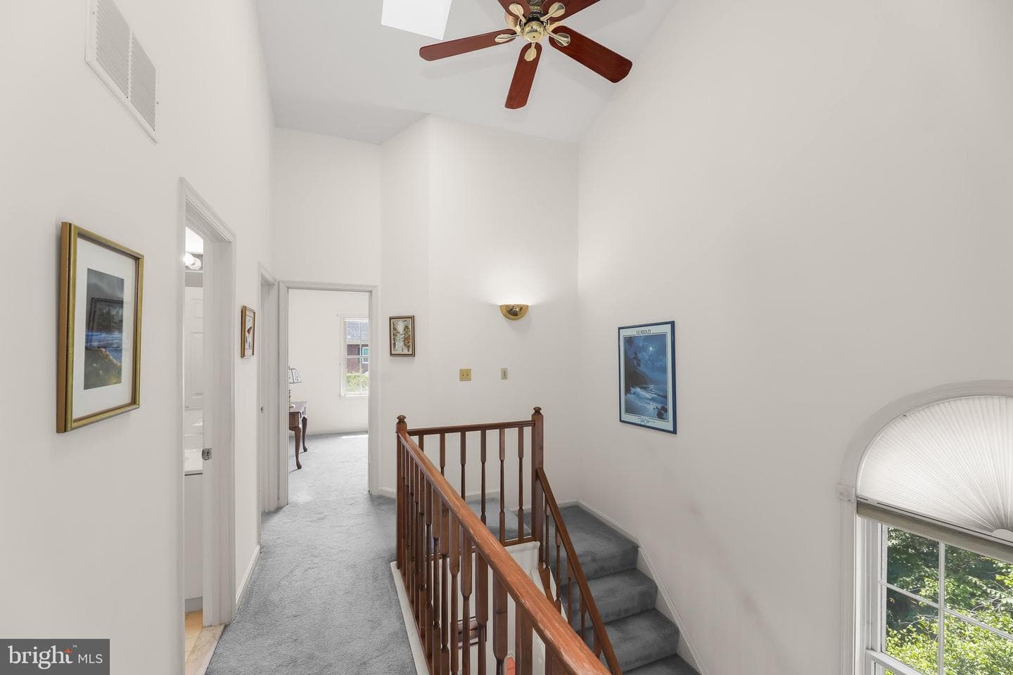 16 Hewetson Court photo 19
