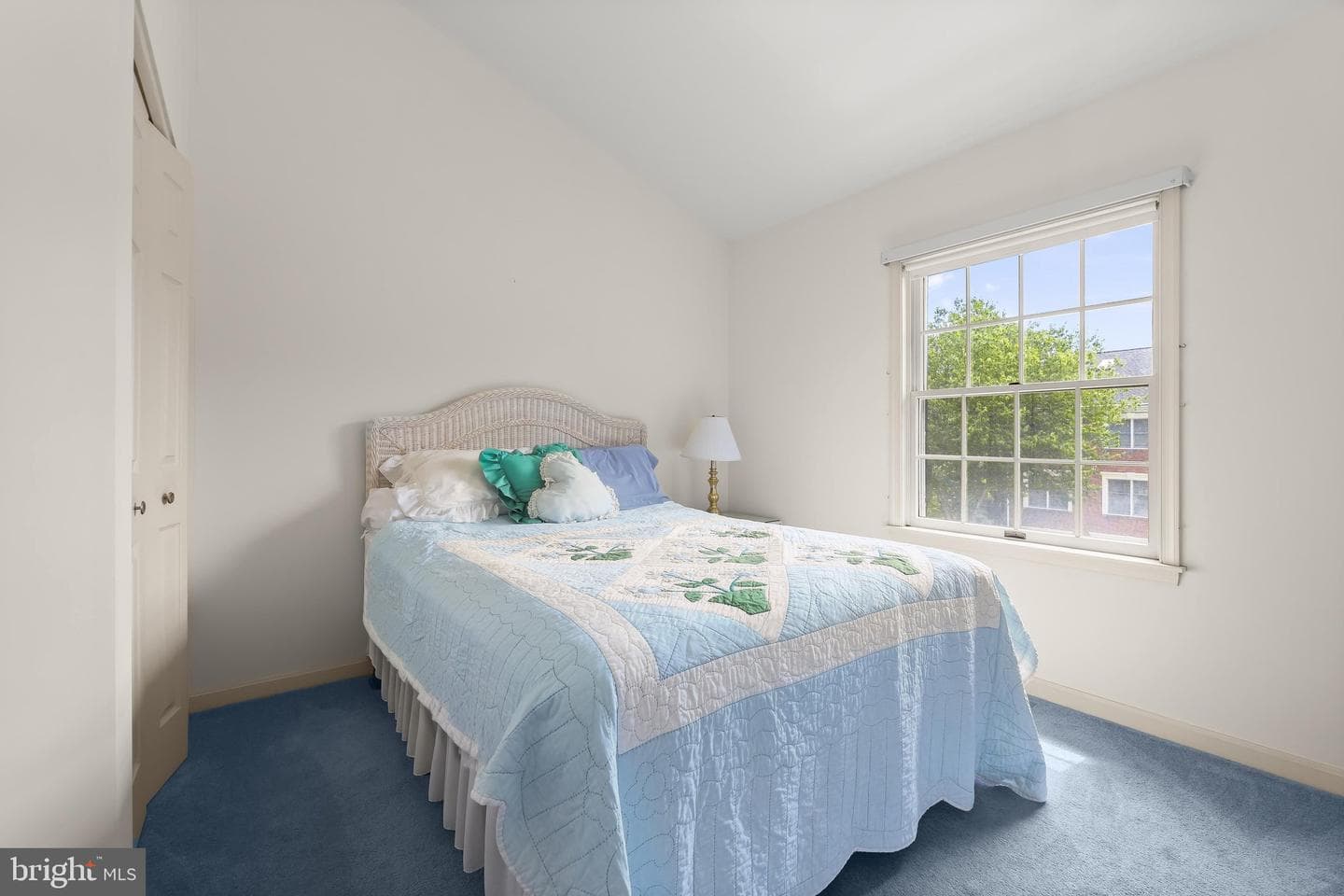 16 Hewetson Court photo 27