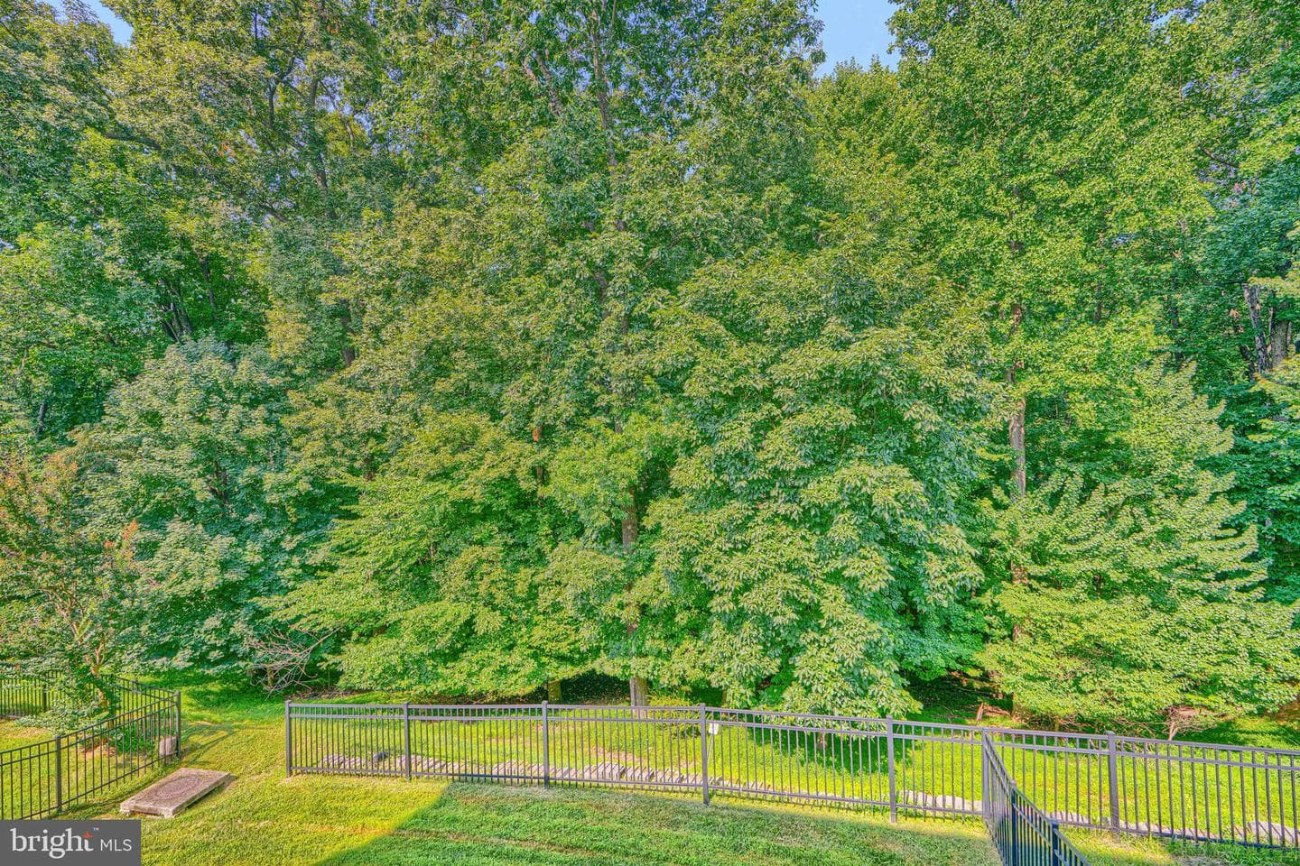 8608 Springvale Drive photo 43