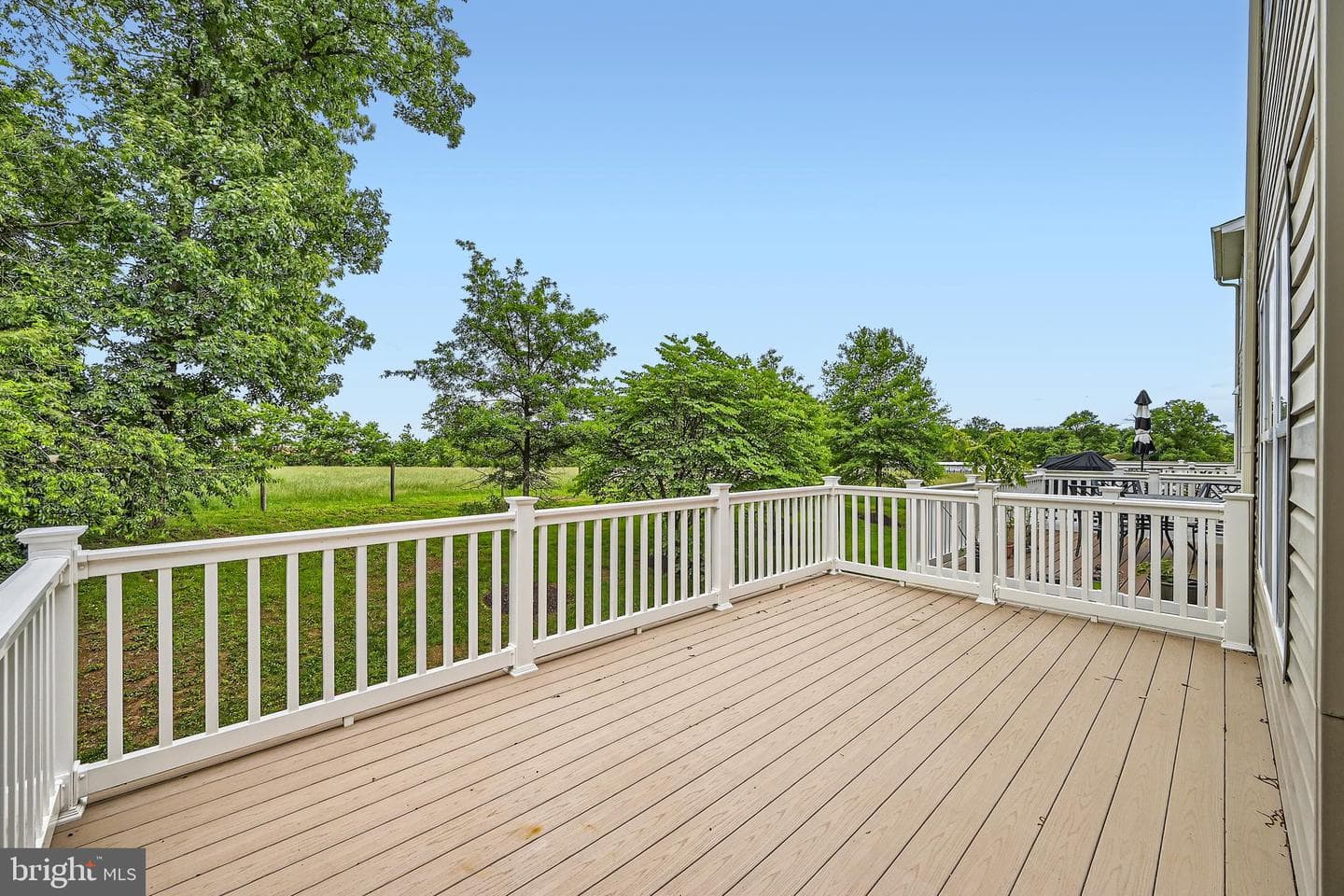 11606 Amaralles Drive photo 22