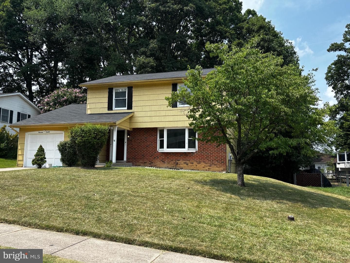 1420 Lincoln Woods photo 5