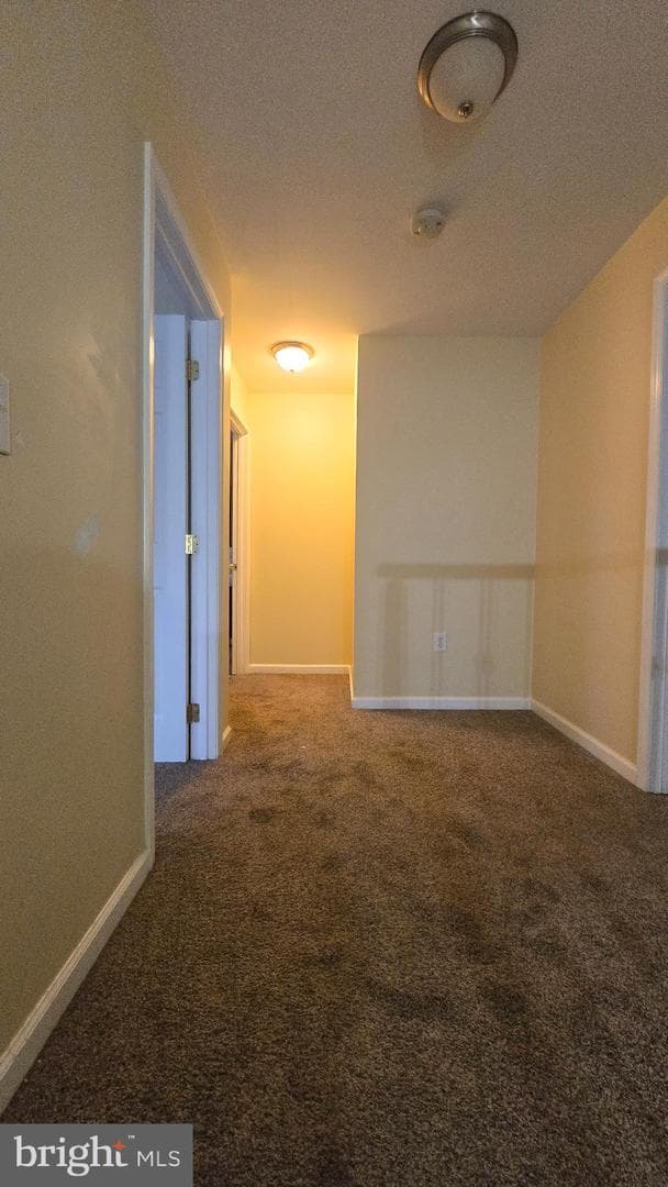 3124 Baybriar photo 23