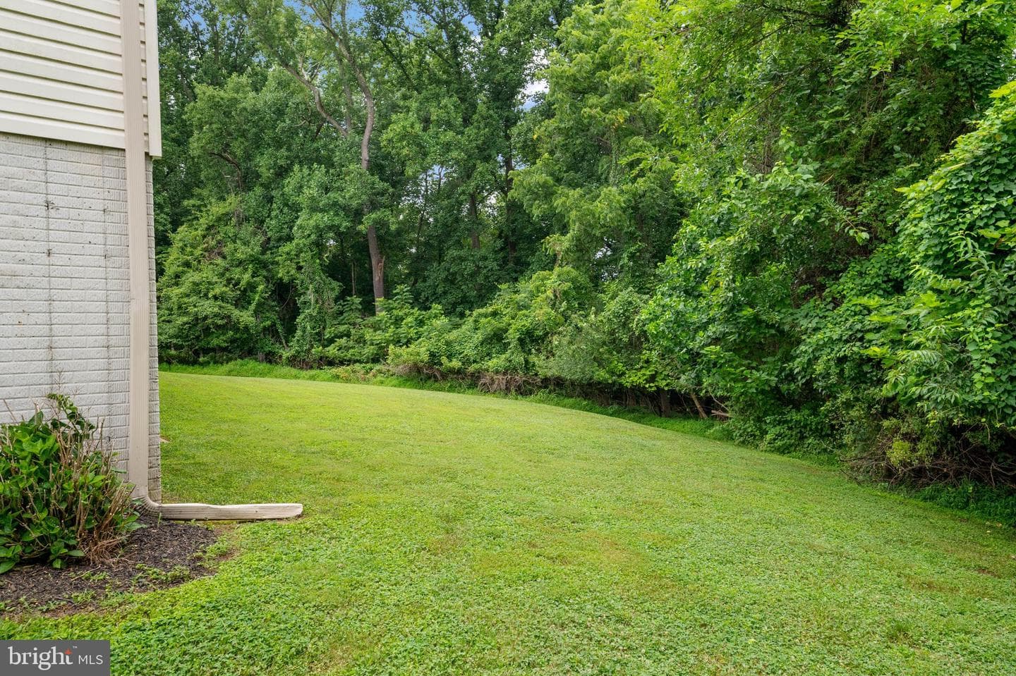 3012 Edrich Way photo 46