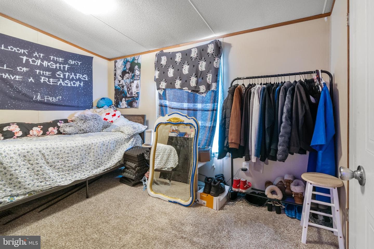 8 Elinor Lane photo 24