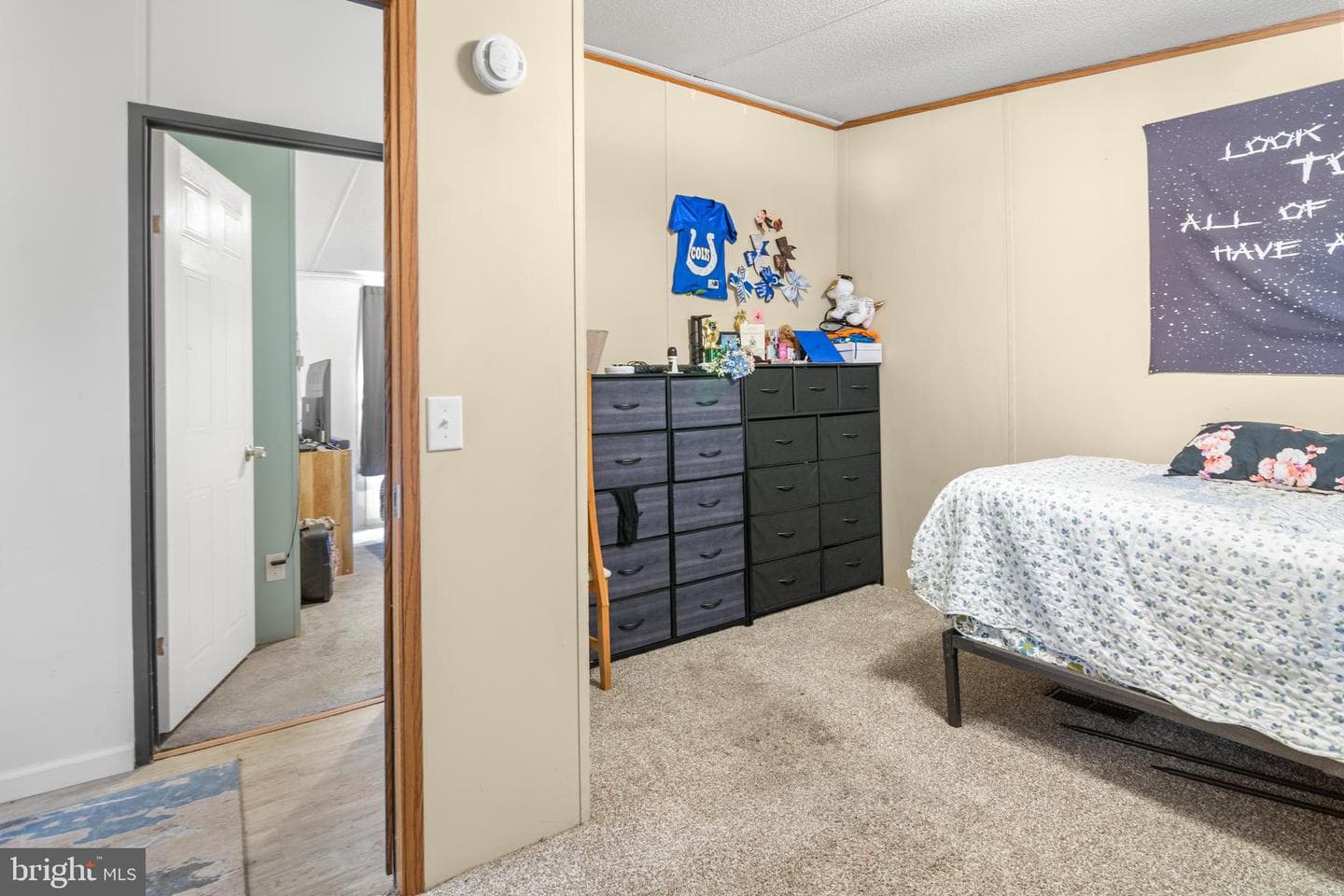 8 Elinor Lane photo 26