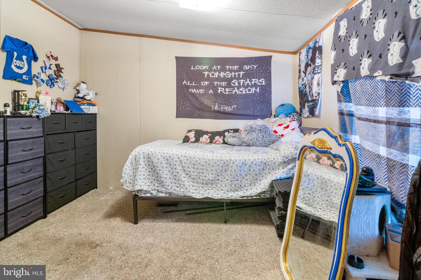 8 Elinor Lane photo 27