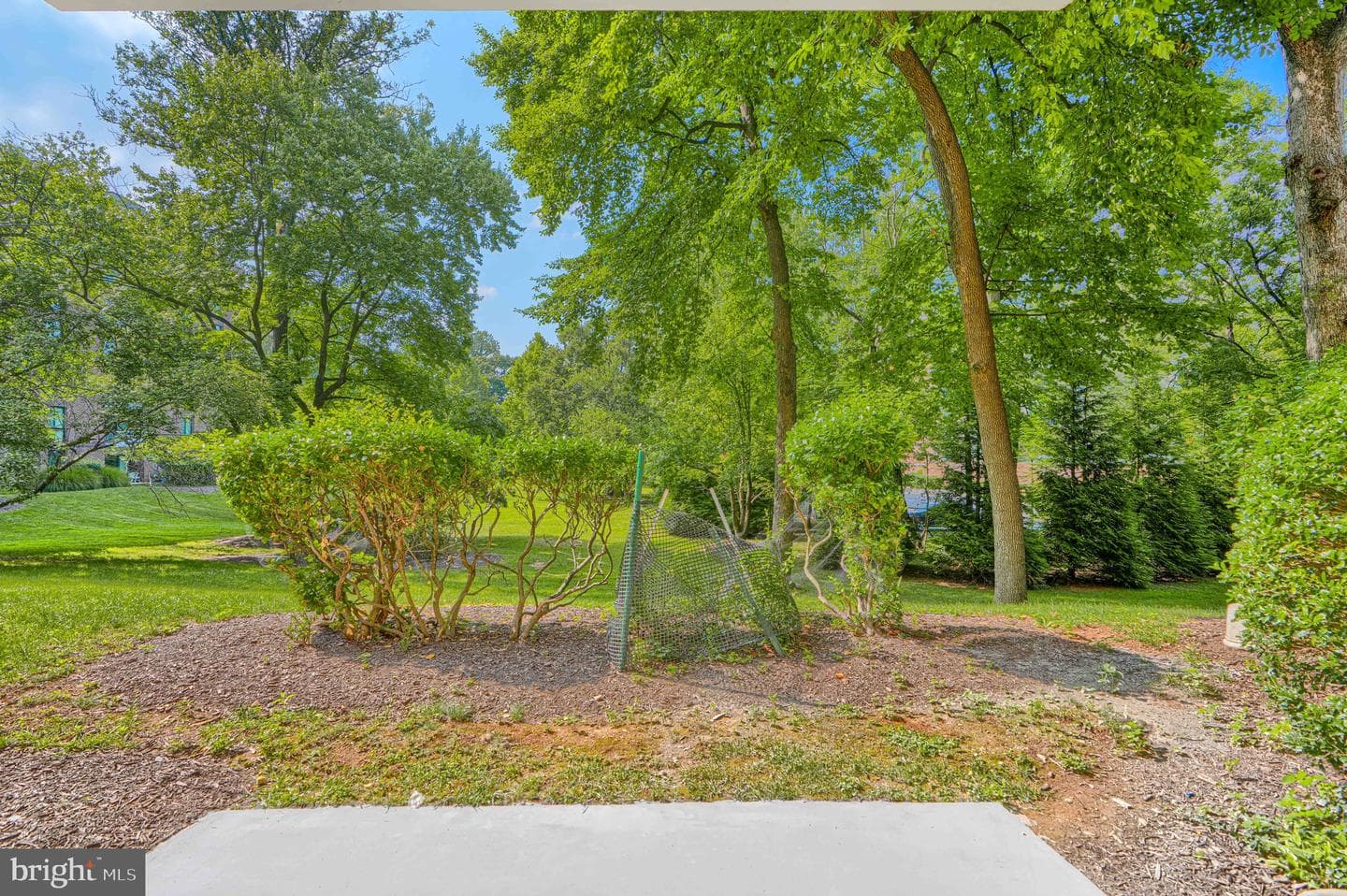 7 Slade Avenue #119 photo 14