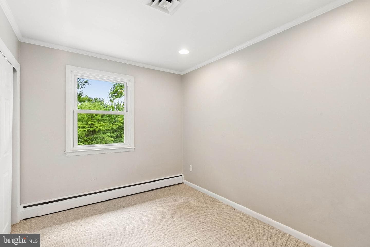 804 Stags Head Road photo 23