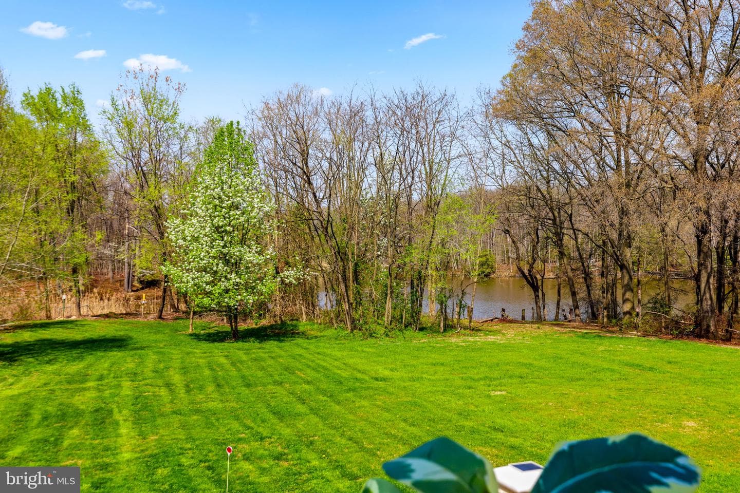 1439 Goodwood Avenue photo 44