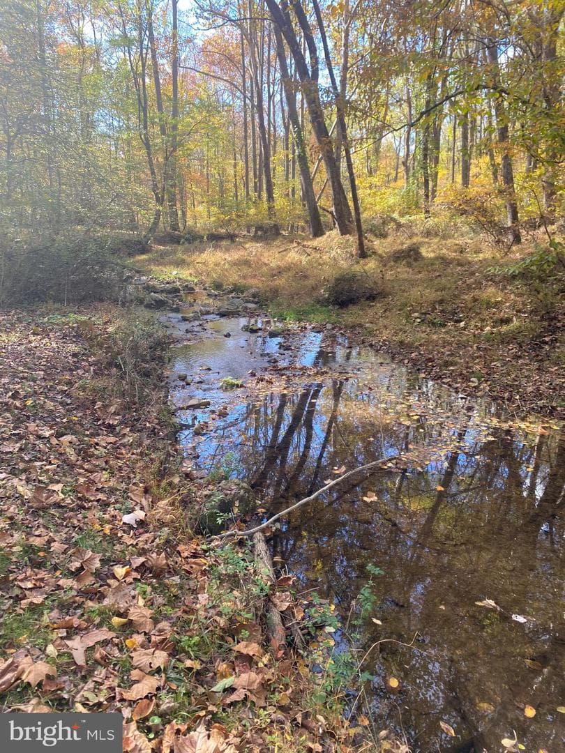 2736 Paper Mill Road photo 46
