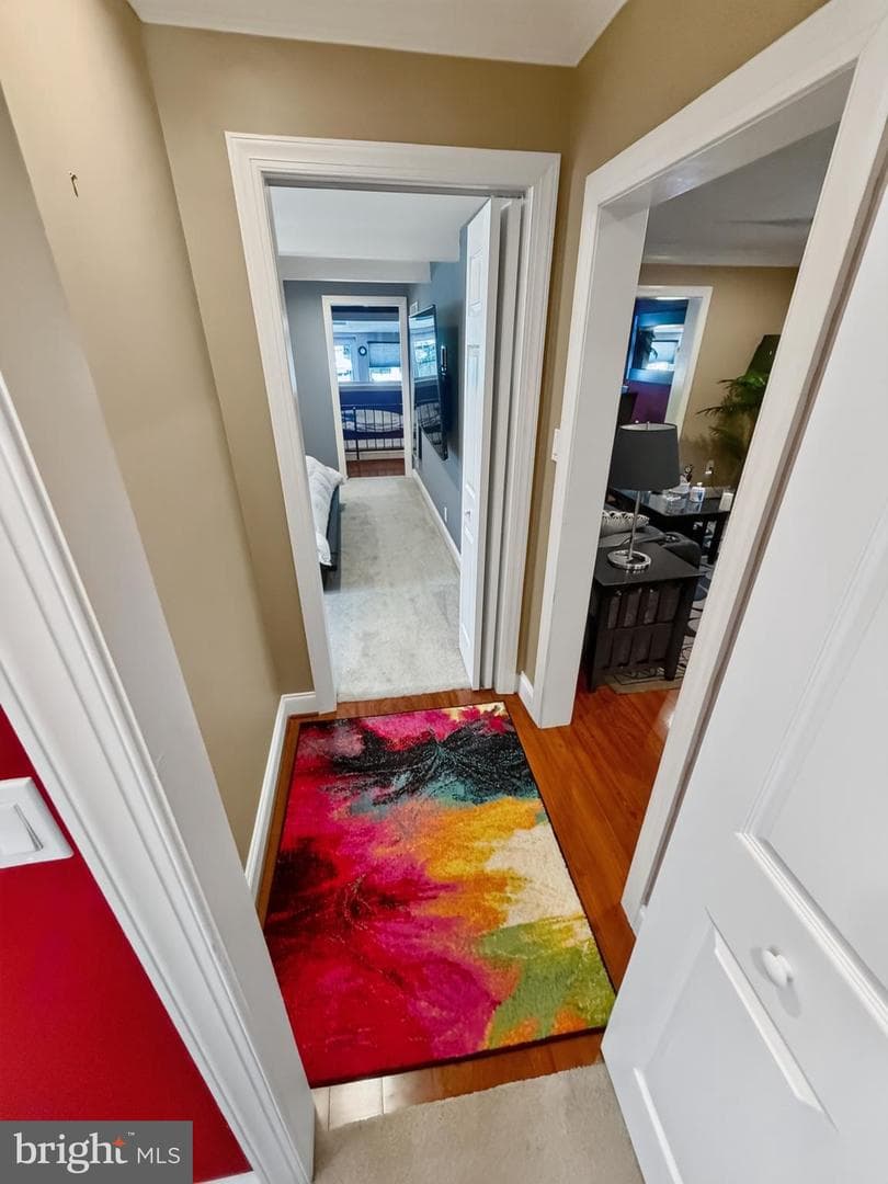 216 Nanticoke photo 41