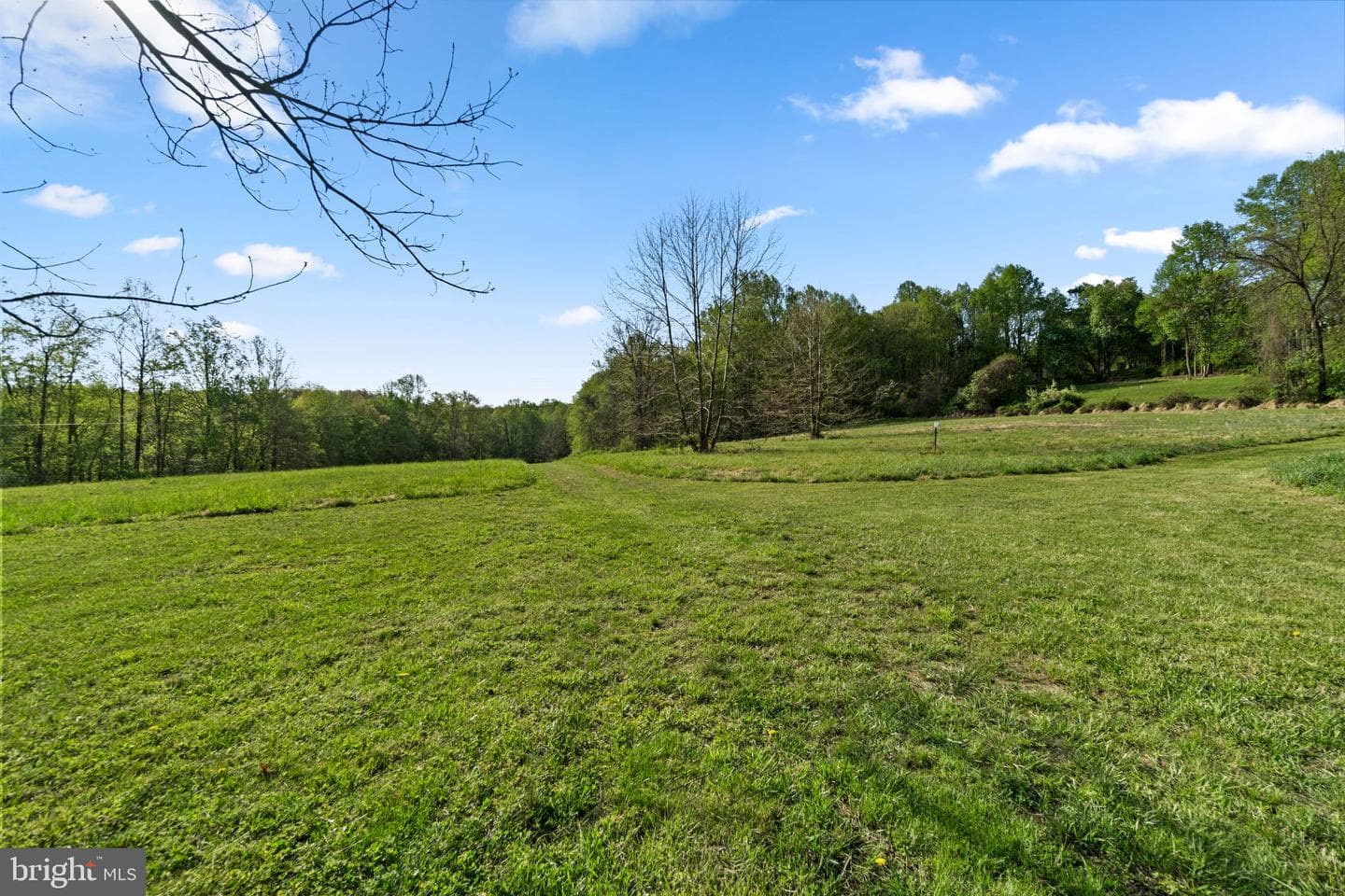127 Nob Hill Park Drive #ridgeline photo 66
