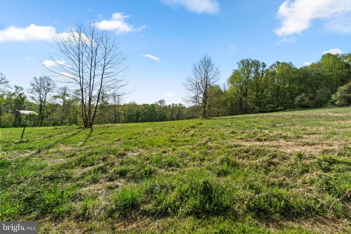 127 Nob Hill Park Drive #ridgeline photo 67