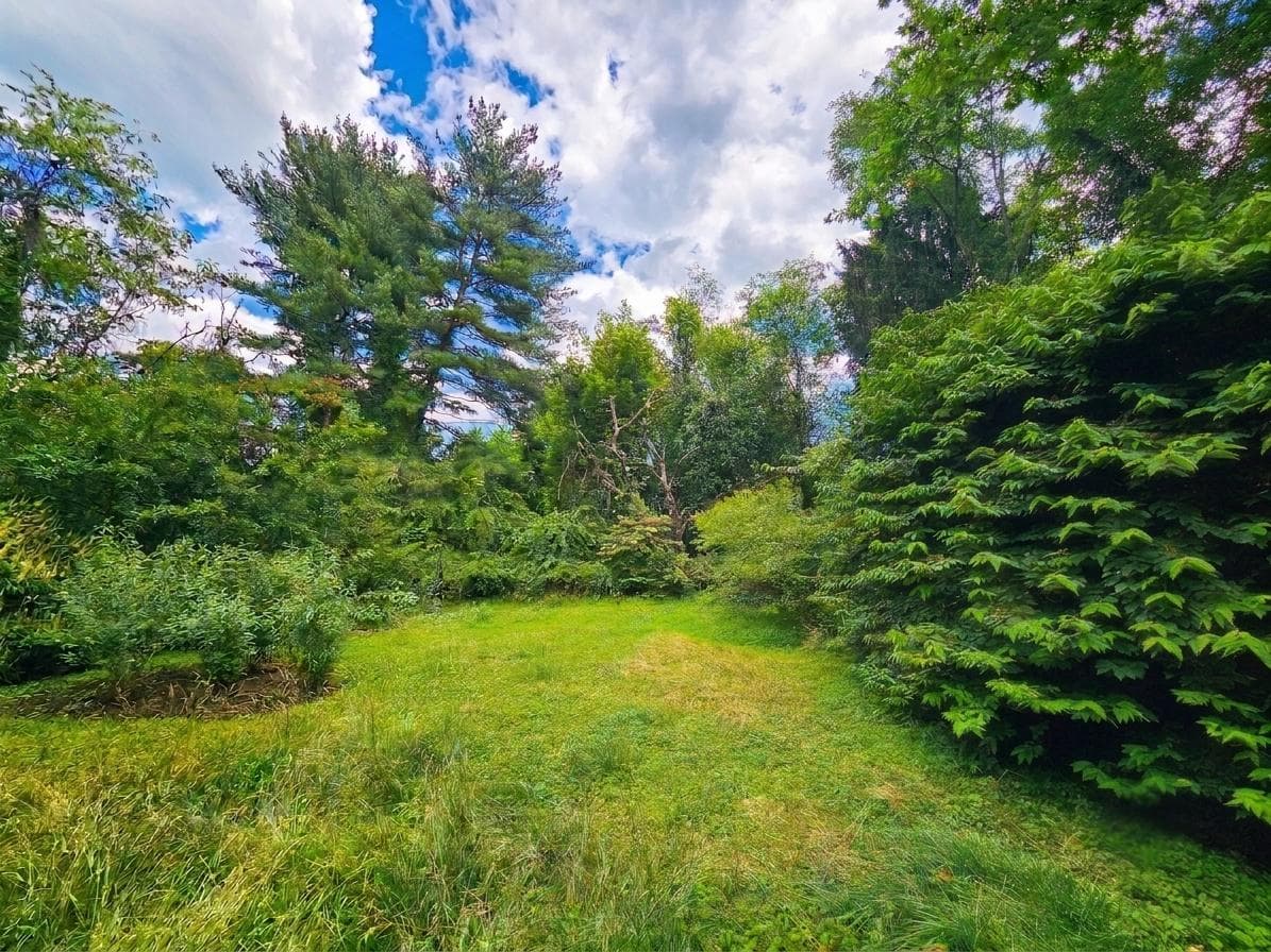 13955 Old Hanover Road photo 3