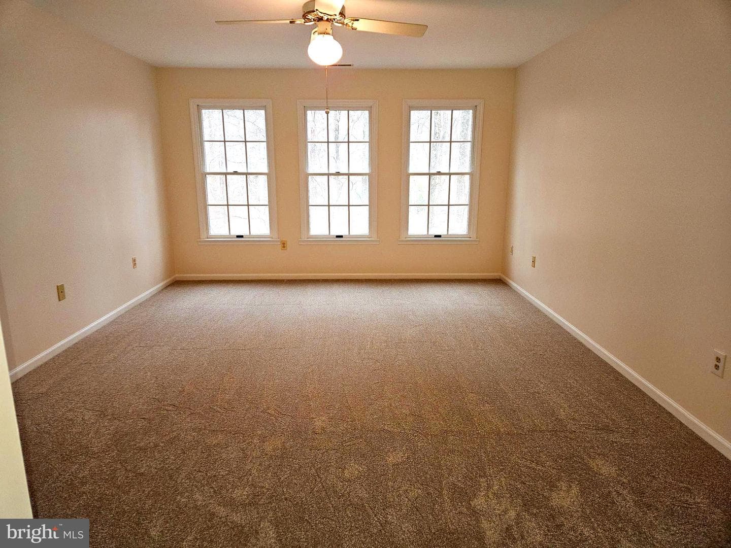 8940 Sherbrook Court photo 21