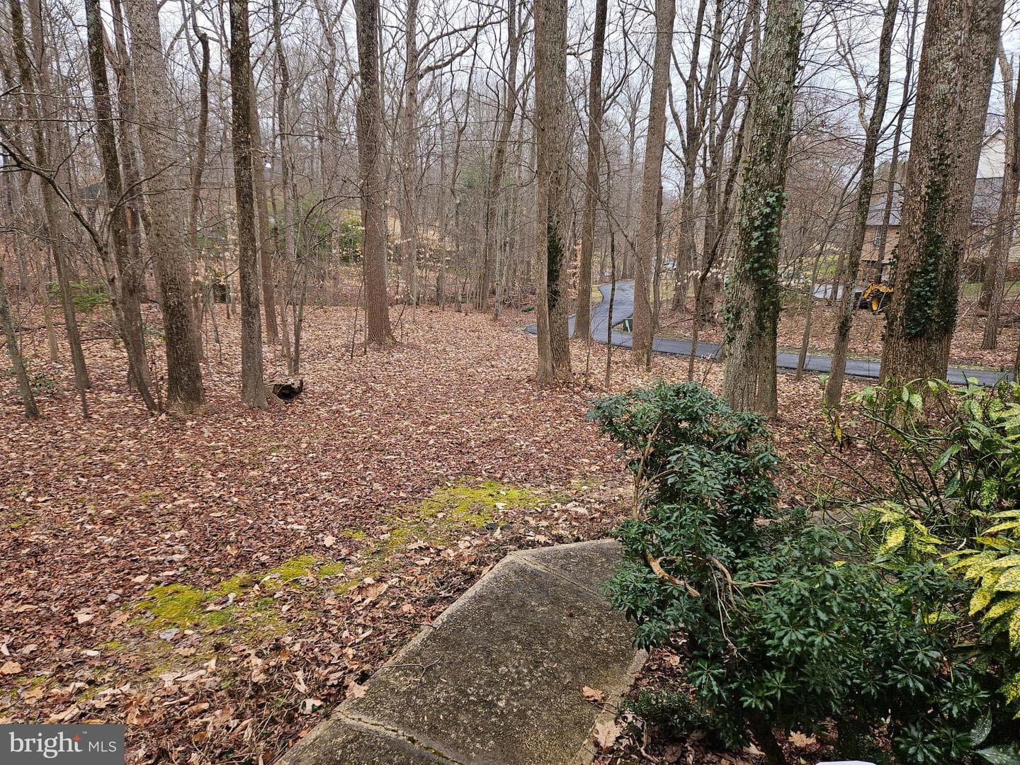 8940 Sherbrook Court photo 31