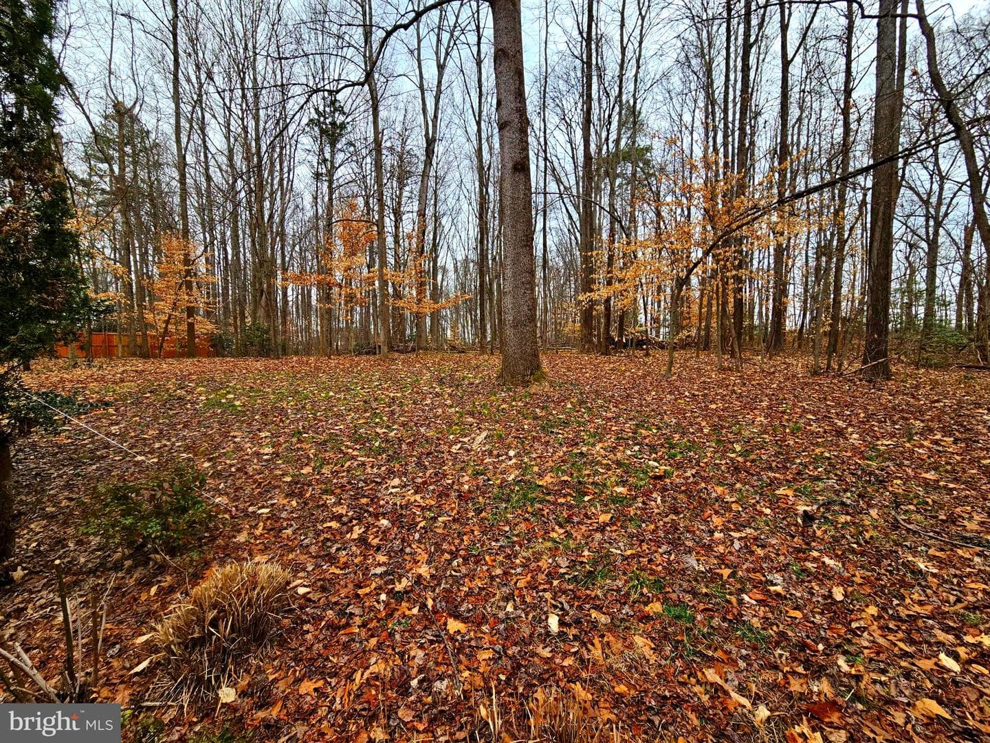 8940 Sherbrook Court photo 37