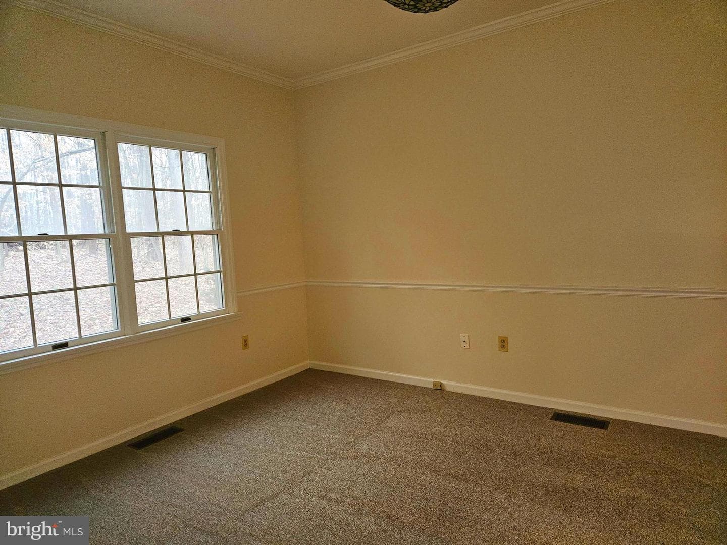 8940 Sherbrook Court photo 8