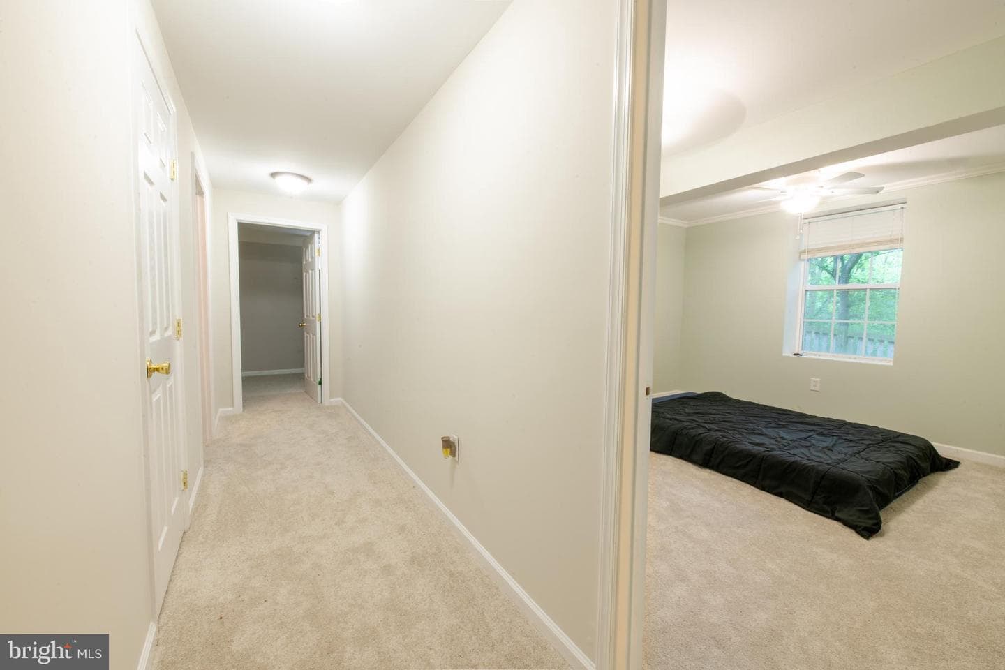 2424 Woodland Court photo 33
