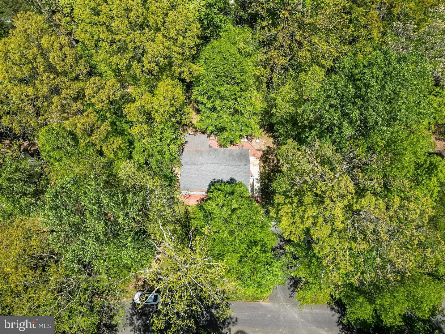 494 Cardinal Drive photo 49