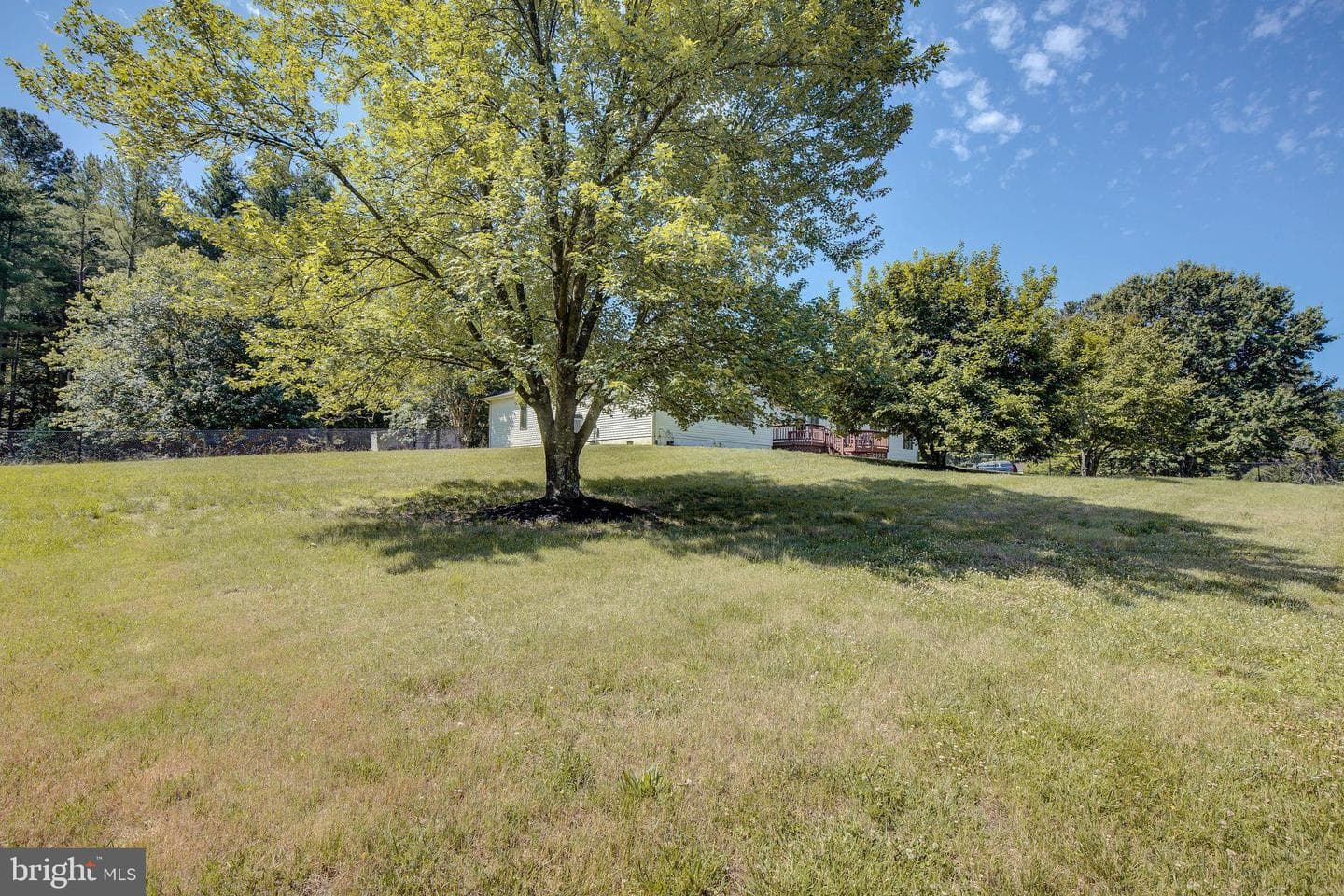 345 Jw Williams Road photo 55