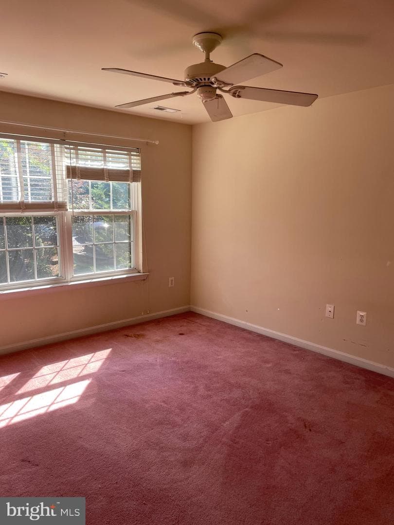 410 Marigolds Way photo 17