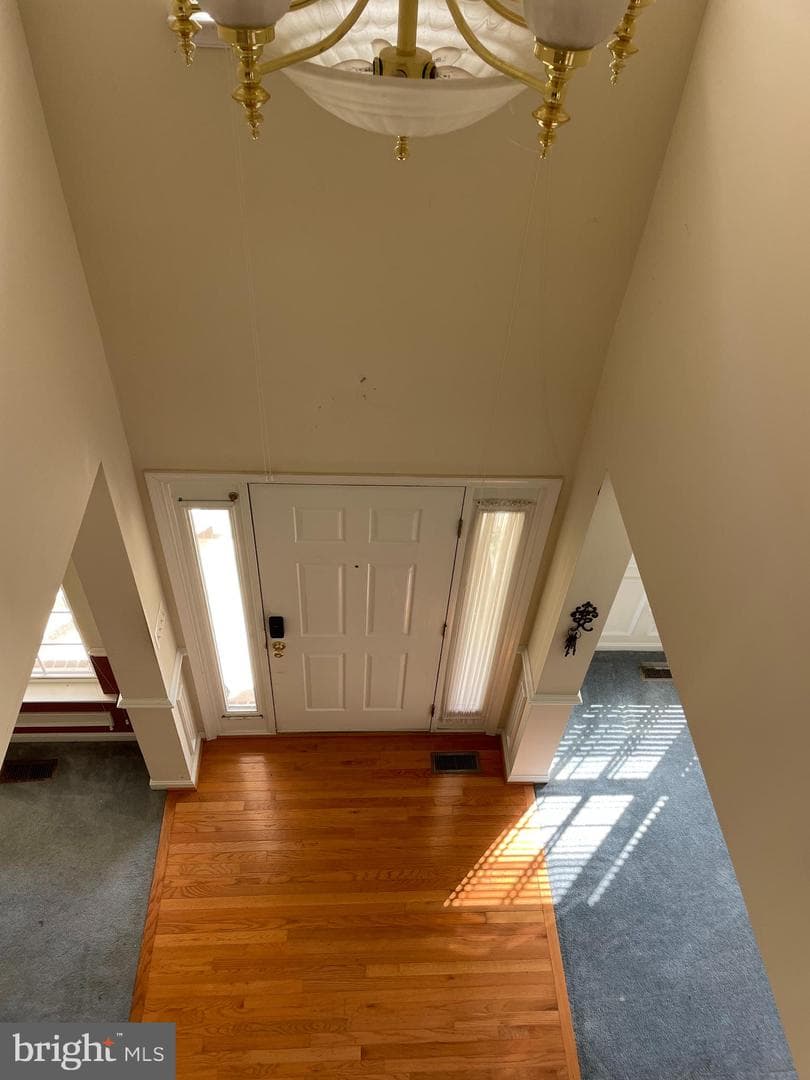 410 Marigolds Way photo 19