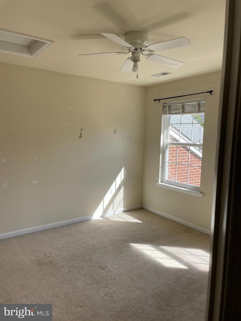 410 Marigolds Way photo 20