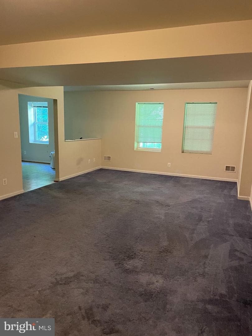 410 Marigolds Way photo 22