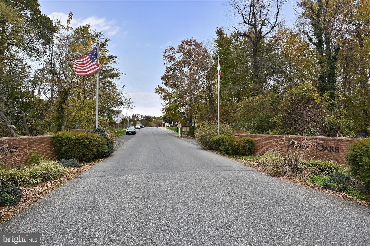 8193 Woodland Lane photo 46