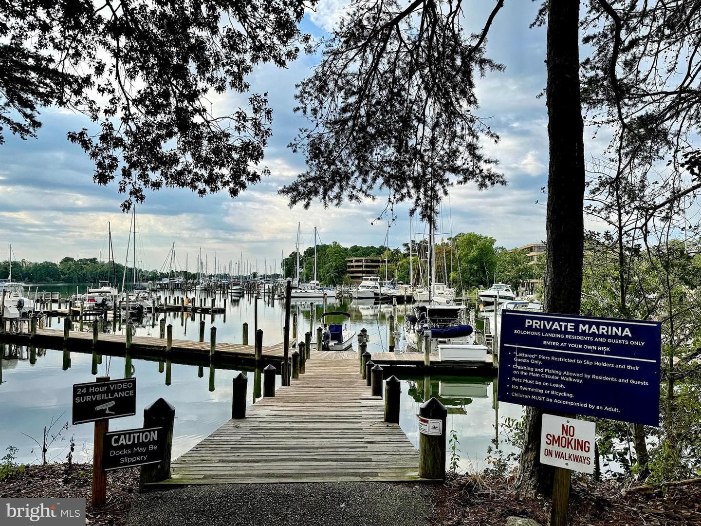 601 Runabout Loop #601 photo 63