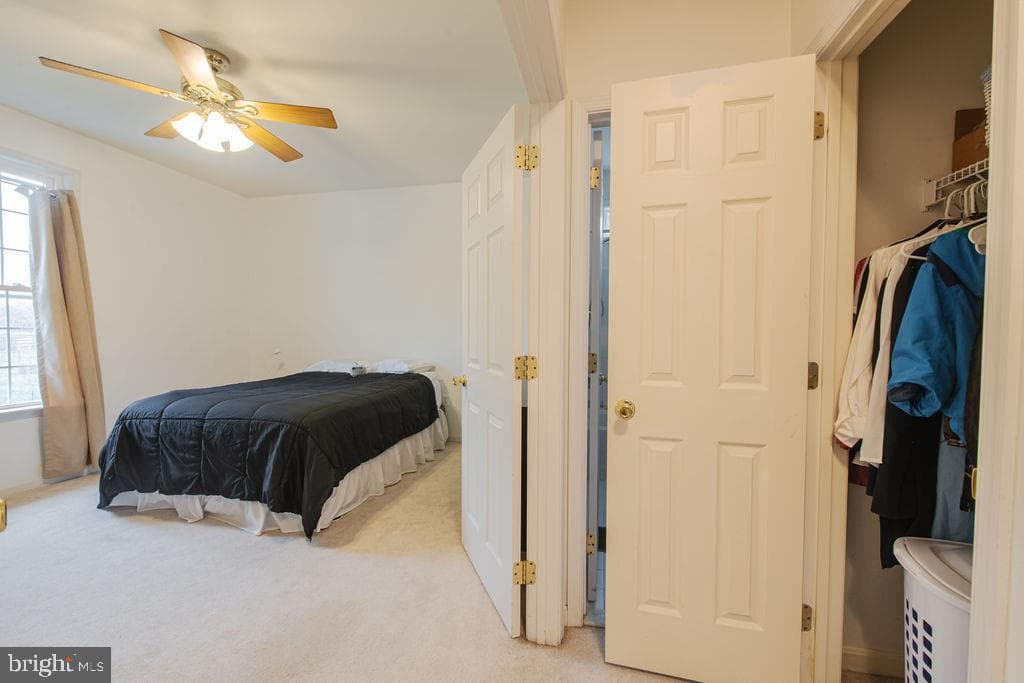9165 Megatha Lane photo 49