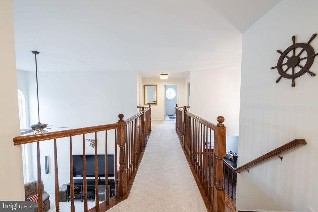 9165 Megatha Lane photo 55