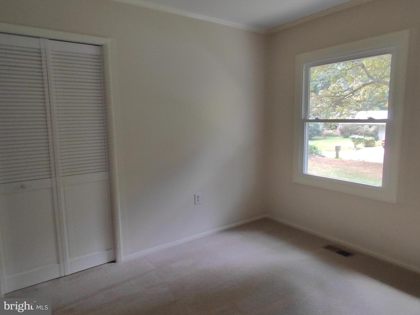508 Beech Drive photo 13