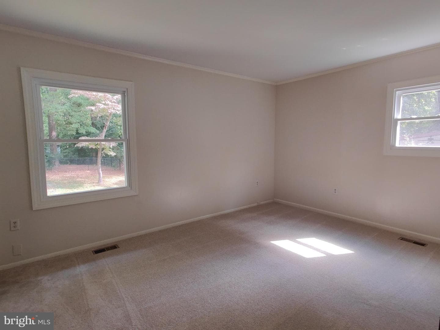 508 Beech Drive photo 18