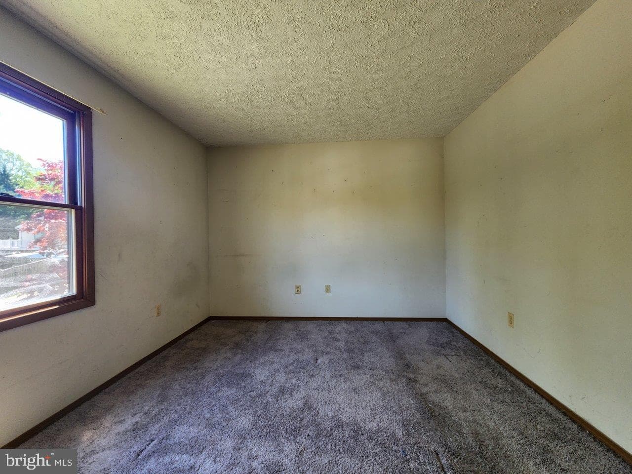 6212 8th Street photo 15