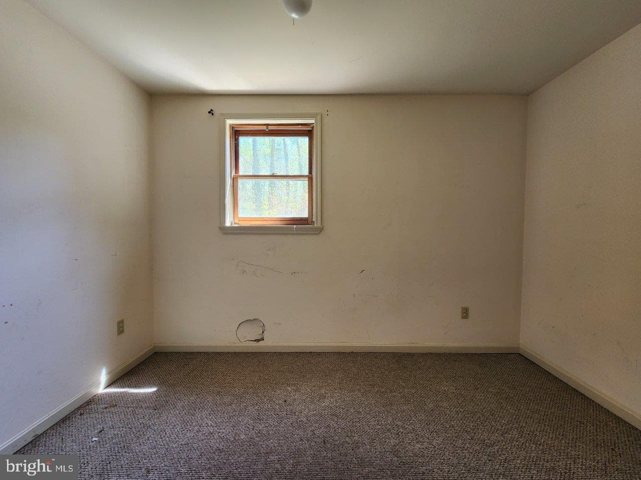 6212 8th Street photo 30