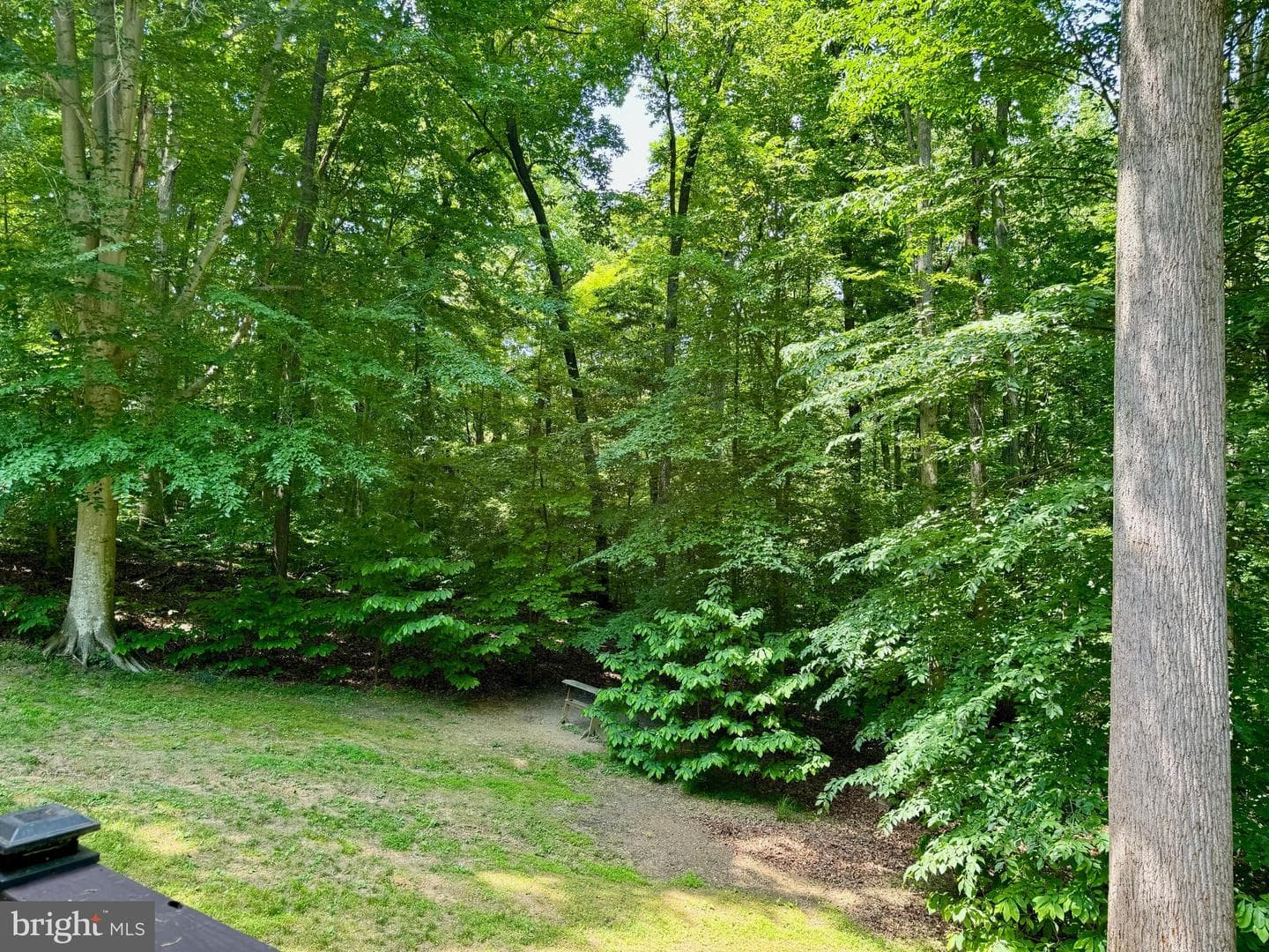 197 Walnut Creek Road photo 56