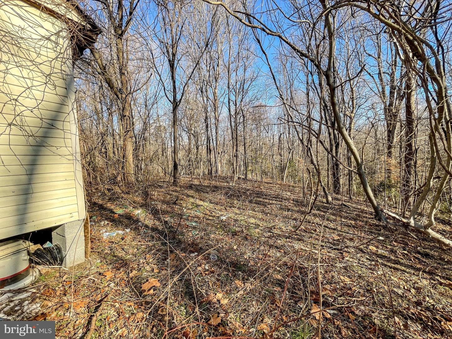 3255 Hance Road photo 6