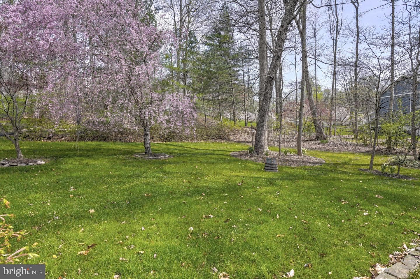 1412 Bidwell Lane photo 47