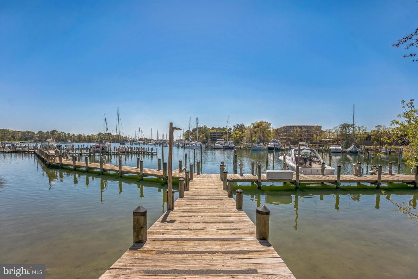 534 Runabout Loop #534 photo 9