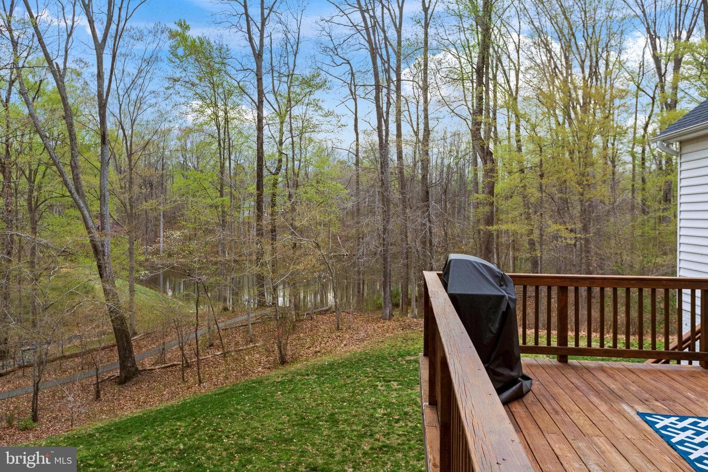 765 Blueberry Court photo 38