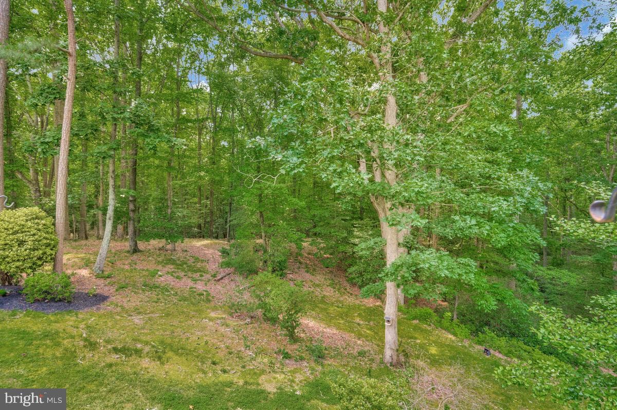 7251 Bond St. photo 46