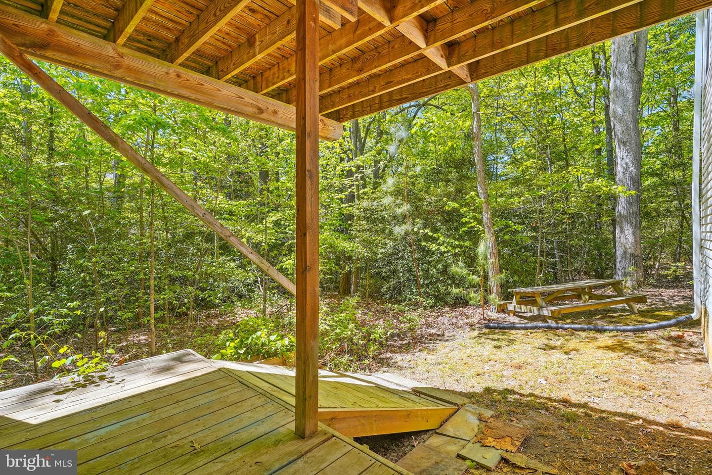 12543 Calyx Road photo 32