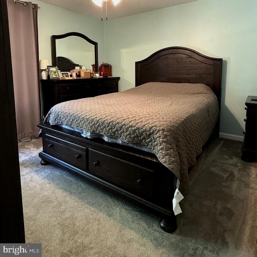 5031 Harvard photo 14