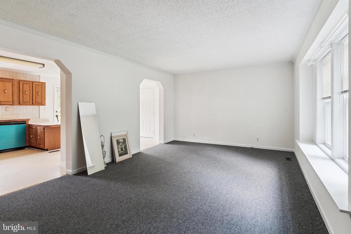 339 Gray Drive photo 4