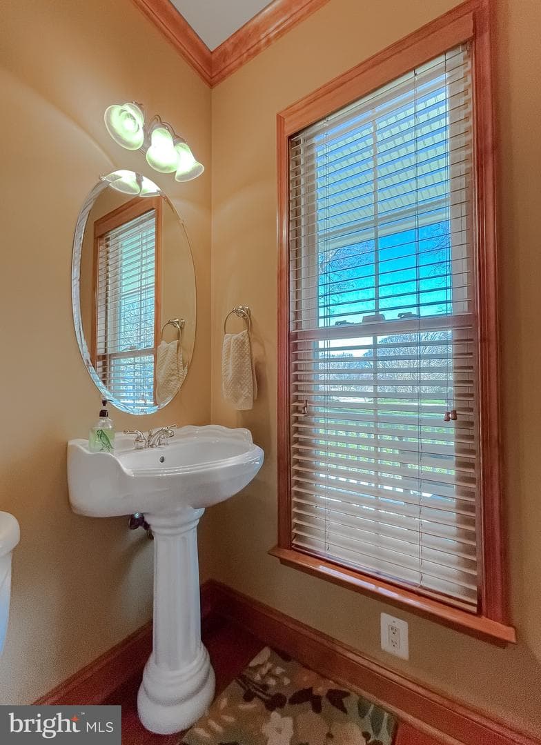 6290 Nicole Drive photo 29