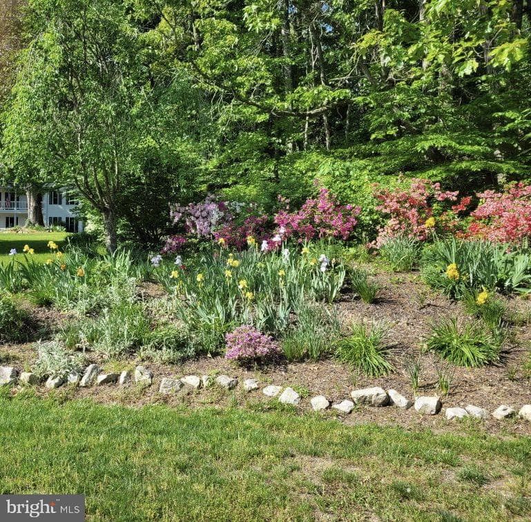 6290 Nicole Drive photo 3